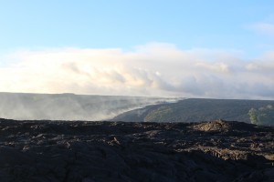 IMG_1480